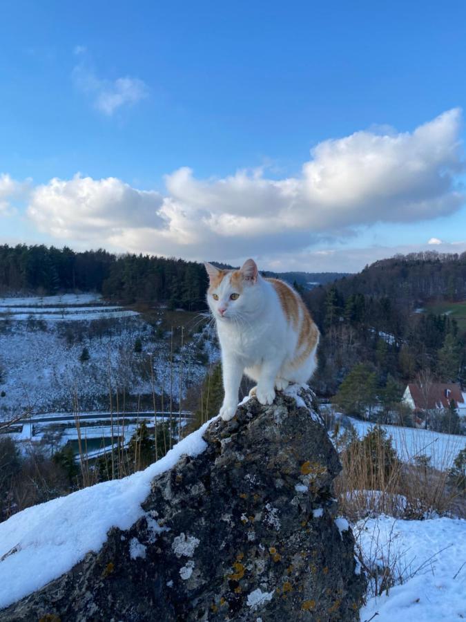 Gasthof Zur Saegemuehle Hiltpoltstein Экстерьер фото